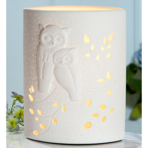 Allegan Large Porcelain Owl Design Table Lamp In White